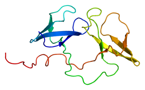 Fragile X mental retardation 1